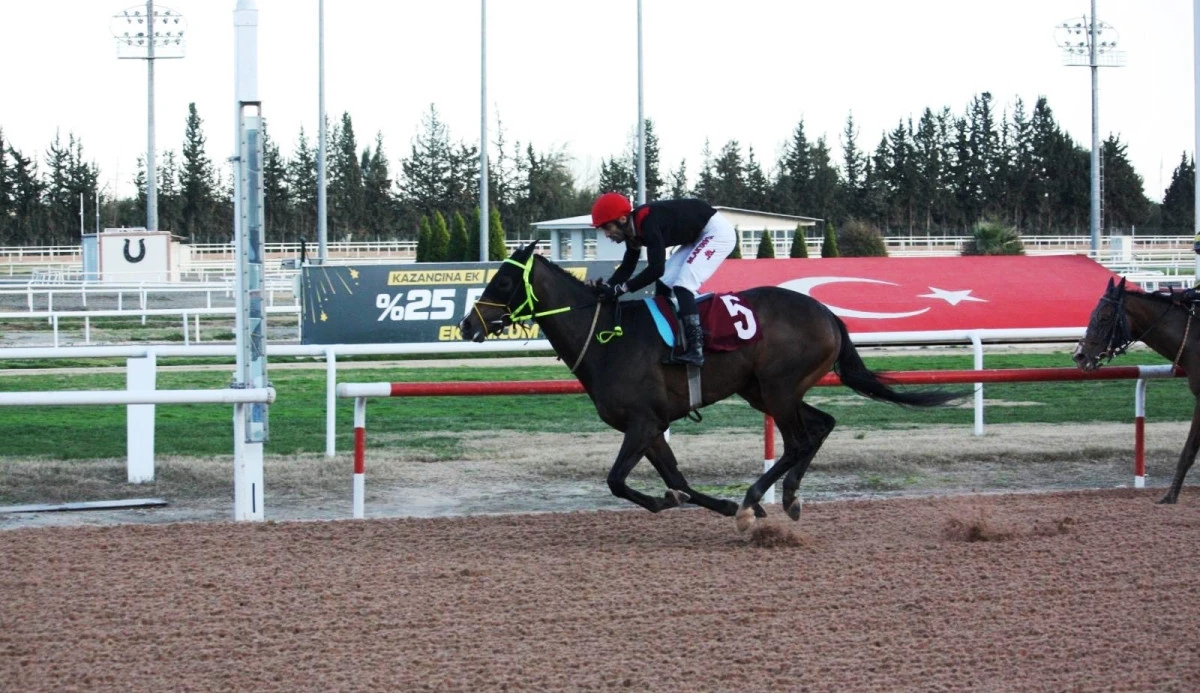 Atlar TSYD i&ccedil;in koştu