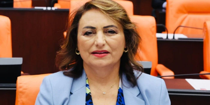 Bu Ayıp Milletvekili Müzeyyen Şevkin’e Yeter!