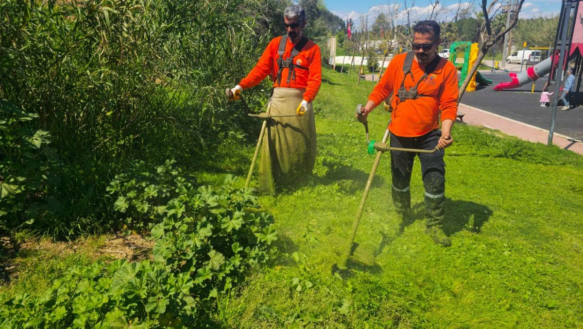 &Ccedil;ukurova Belediyesi'nden park ve yeşil alanlarda yoğun mesai