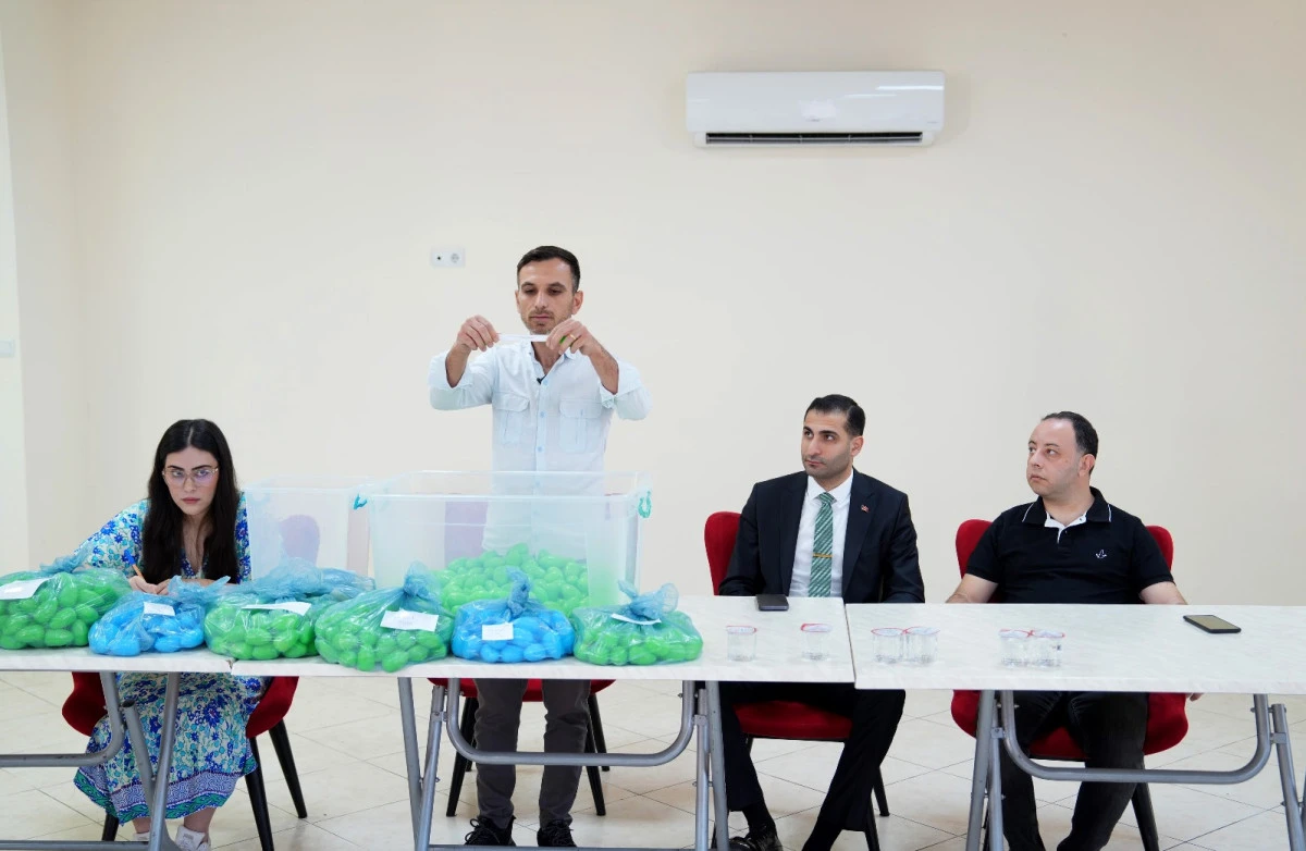 Çukurova kreşlerine rekor başvuru