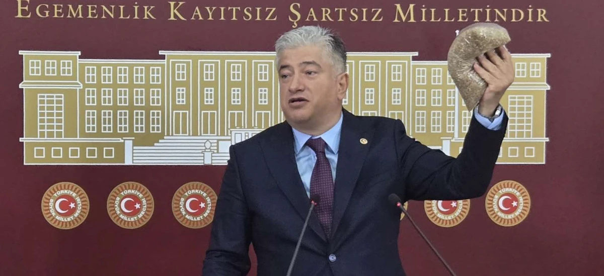 Sadullah Kısacık, 