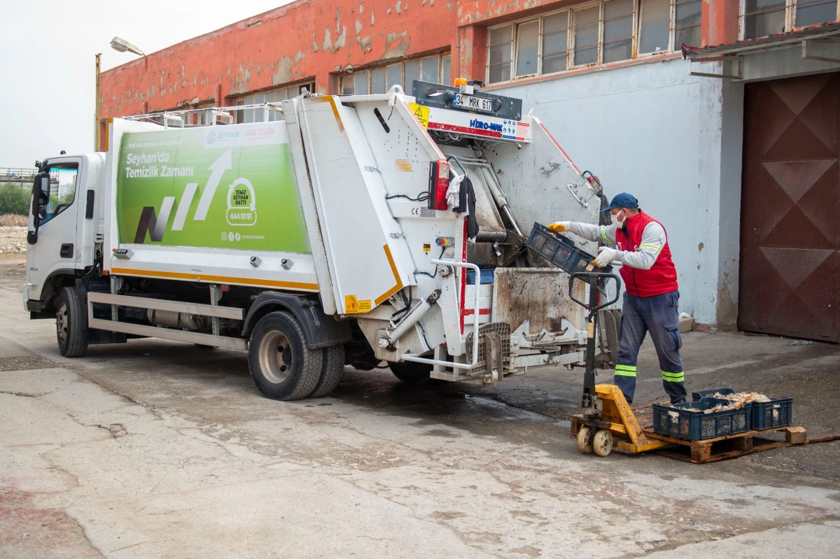 Seyhan Zabıtadan Depo Baskını: Yüzlerce ölü tavuk ele geçirildi