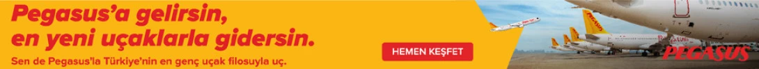 PEGASUS